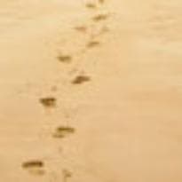 Italy driving service