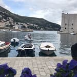 Reisebewertung für private Autofahrt von origin durch Beelady29 mit Daytrip