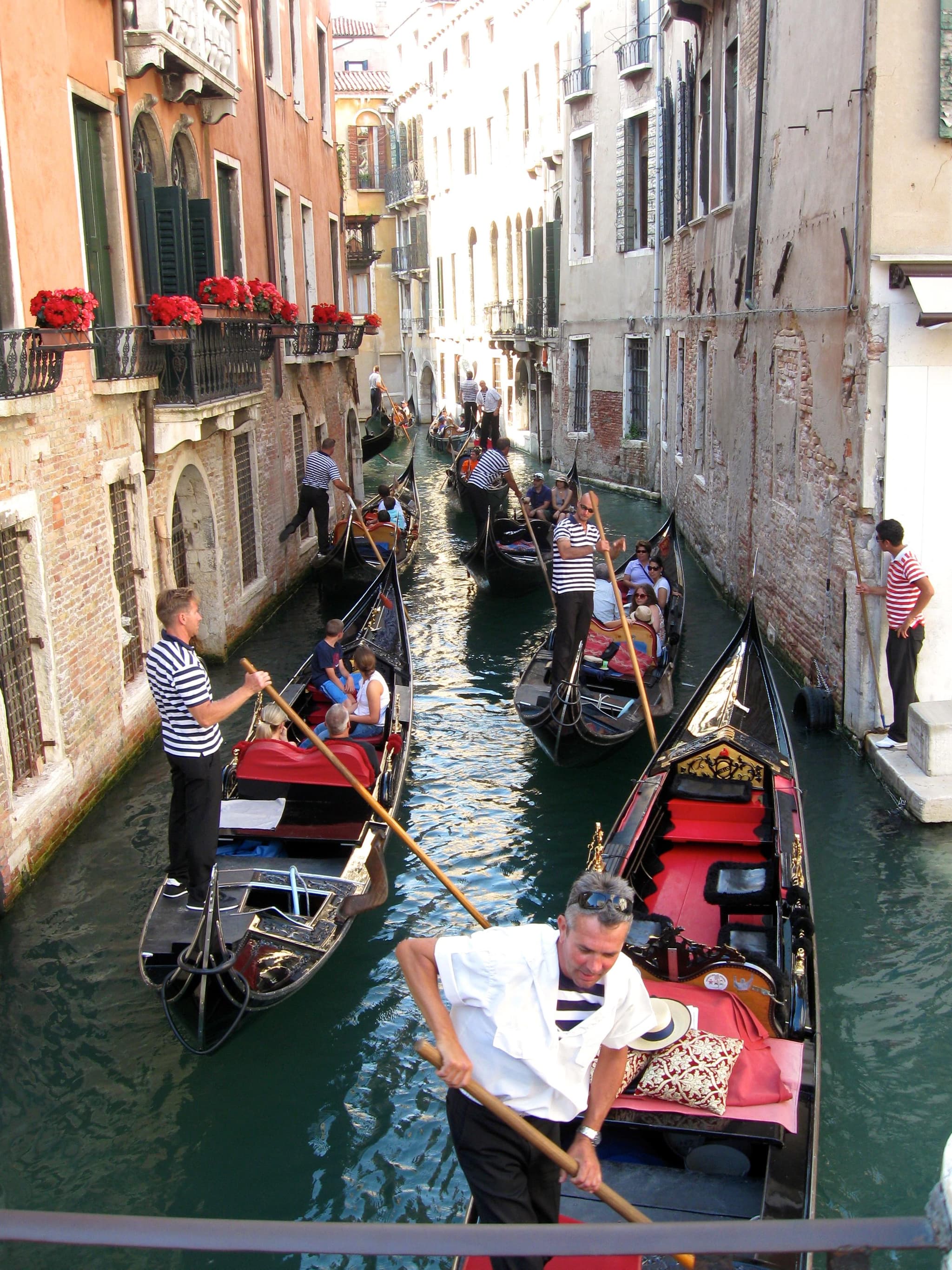 Voyage fabuleux et informatif avec un guide exceptionnel !