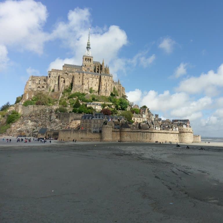 Très satisfait du service