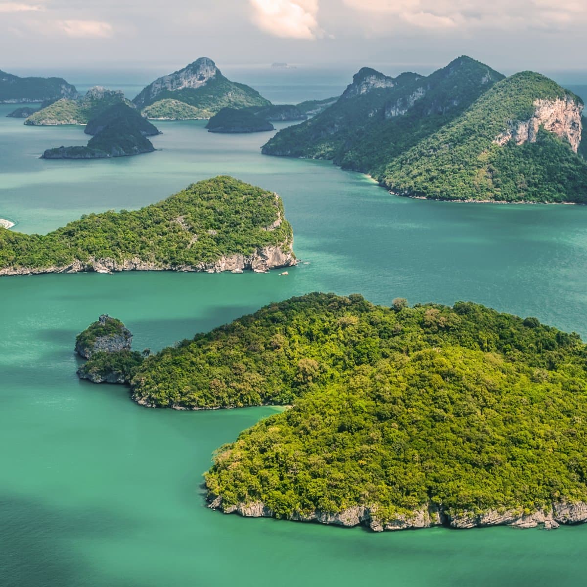 Great - Would Use Again