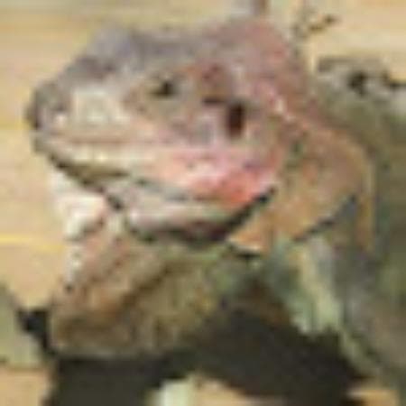 Transfert privé d'Estonie vers la Lettonie