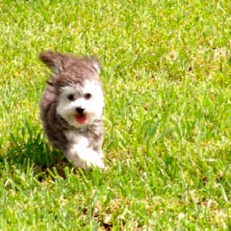 我们非常喜欢我们的“侄子”Michal,他从克拉科夫开车送我们到华沙