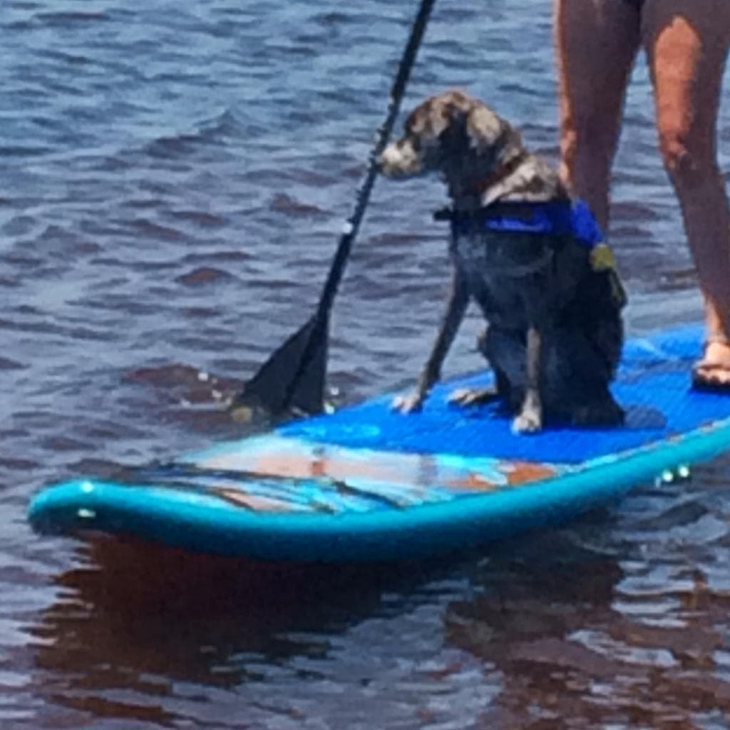 Excellent service de transfert local !