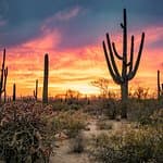 Traveler review for private car trip from origin by DestinyRKeller with Daytrip