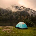 Best transport company anywhere