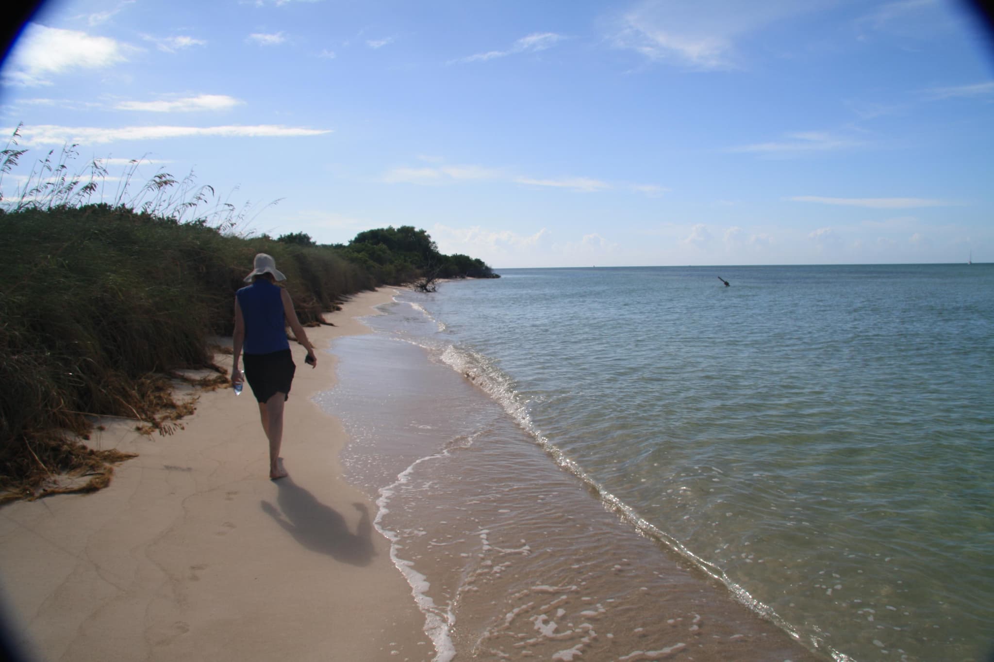 Well organized and great service