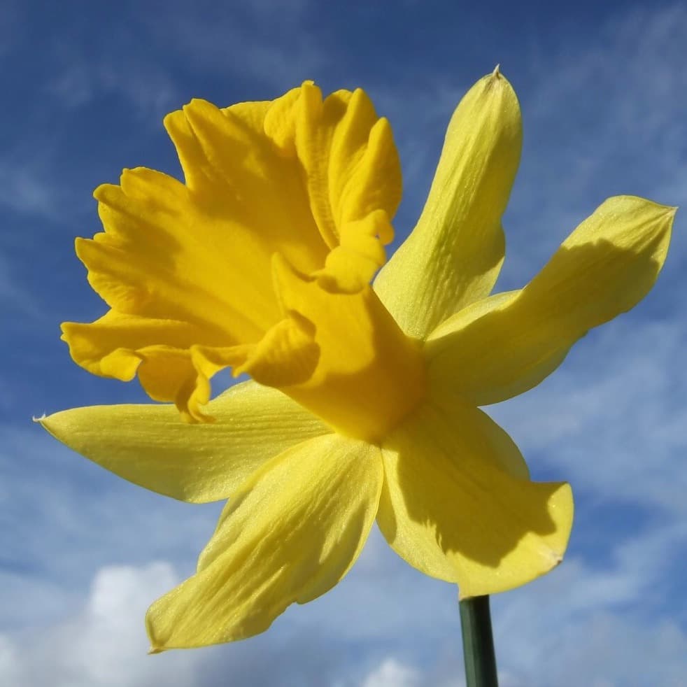 This is a wonderful option for travel. I highly recommend.