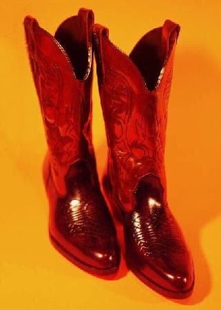 De Neuschwanstein à Innsbruck