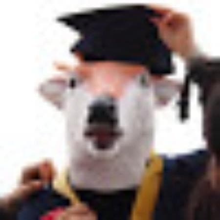 Unvergessliches Tagesausflugserlebnis