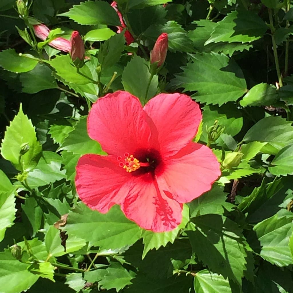 Private Transfer from Vienna to Salzburg