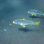 轻松愉快的旅程